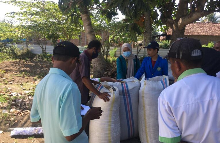 KKN MAHASISWA UGR LOMBOK:PROGRAM OPTIMALISASI PEMANFAATAN PEKARANGAN MENGUNAKAN MEDIA TANAM PUPUK ORGANIK DIKAMPUNG HALAMAN