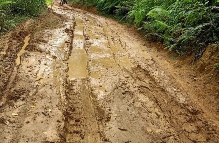 Minim perhatian pemda, jalan menuju desa baturotok tak terurus