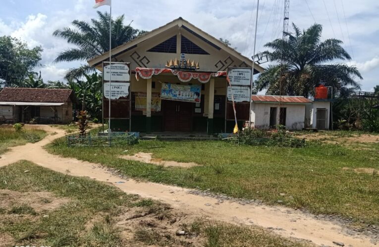 Lapaor… pak Bupati, Pemerintah Desa Harapan Jaya dan Masyarakat Harapan jaya Berharap Bupati Berikan Bantuan Sebuah Bangunan Balai Desa