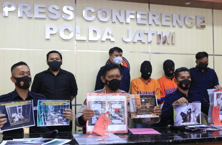 Ditreskrimsus Polda Jatim, Bongkar Perdagangan Satwa Dilindungi Di Facebook .