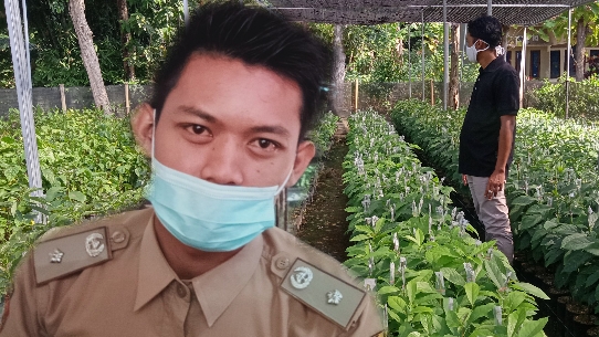 Pembibitan Holtikultura Di Desa Karangsono Perlu Bantuan Pemasaran