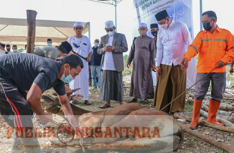 Pemda Tanjung Jabung Barat Mengadakan Penyembelihan Hewan Qurban