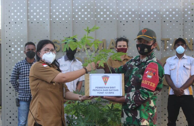 Manfaatkan dan Pelihara Lingkungan Tetap Hijau, TNI Tanam 500 Pohon Pepaya di PLBN Skouw Papua