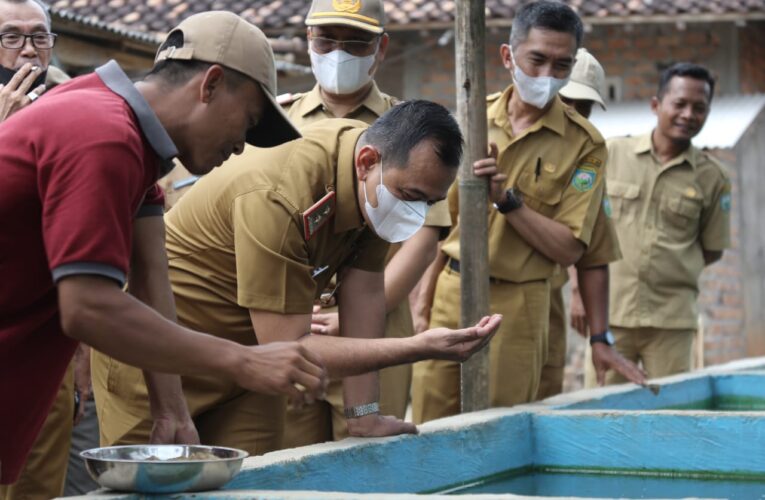 H. Edward Candra Plh Bupati OKU Tinjau Kolam Budi Daya Ikan Kelompok Karya Mandiri Jaya ini Pesanya