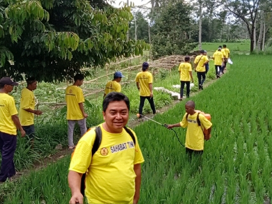 Upaya Memaksimalkan Produksi Pertanian, Sahabat Tino Melakukan Penyemprotan Pestisida Dan Melakukan Pendampingan Kepada Petani.