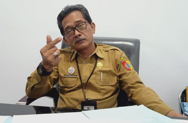Percepatan Penurunan Stunting, DP3AKB Jember Di Bantu 5000 Lebih Relawan