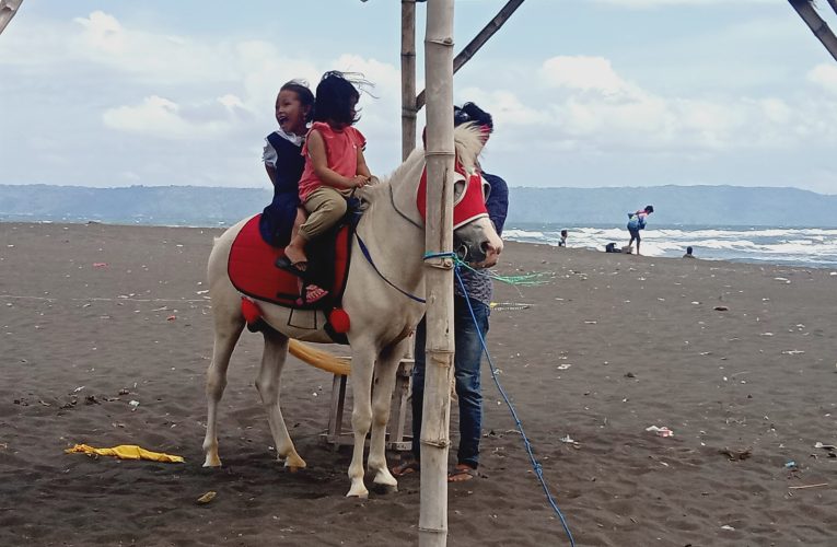 Kisah Pak Holip Menyewakan Kuda Ke Pengunjung Pantai Cemara
