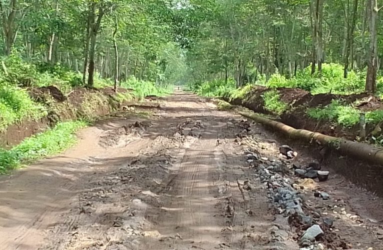 Akhirnya DPUBMSDA Jember Akan Cek Kondisi Jalan Desa Curah Kalong Untuk Susun Anggaran