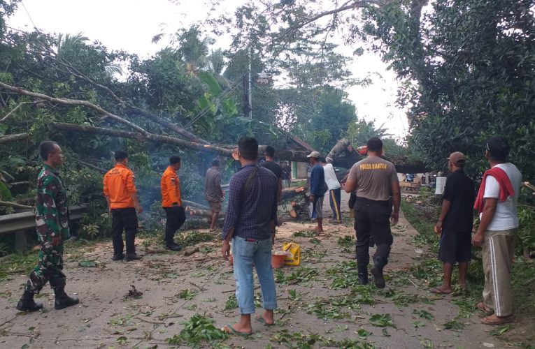 Sigap, Personel Polsek Cikeusal Polres Serang Bantu Evakuasi Pohon Tumbang