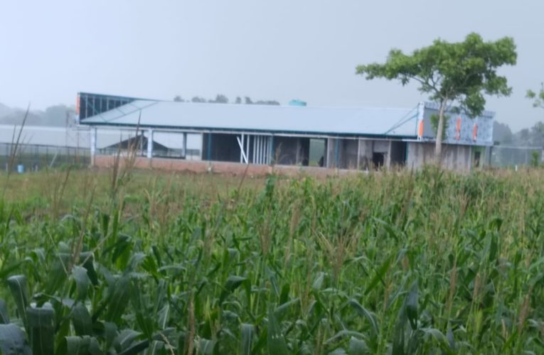 Soal Alih Fungsi Lahan Pertanian, Camat Cisoka Dan Dinas Terkait Cuek