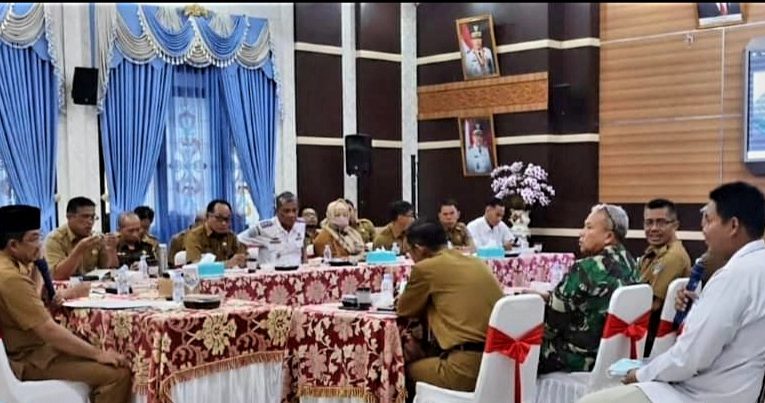 Bupati Tanjab Barat Kembali  Ikuti Rakor Pengendalian Inflasi Daerah