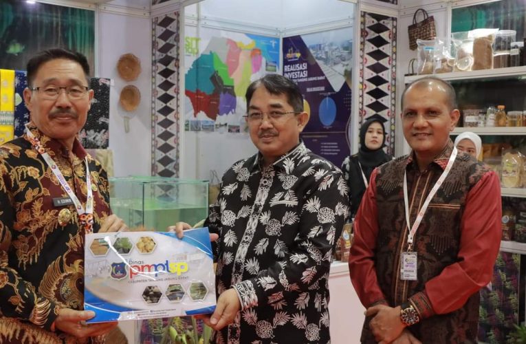Bupati Promosikan Potensi SDA Tanjab Barat di Otonomi Expo 2024, Ajak Investor Berinvestasi