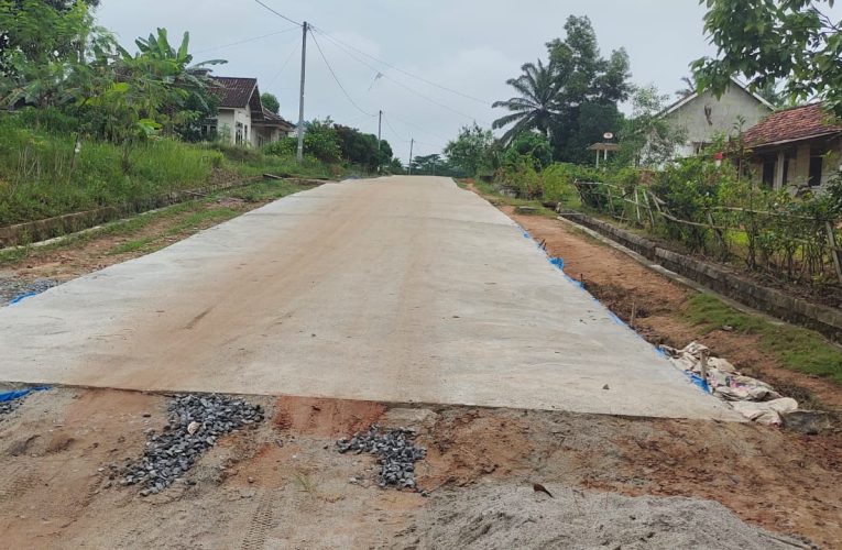 Desa Rejo Binagun Bangun Jalan Rabat Beton Sepanjang 95 Meter Warga Ucapkan Terimakasih