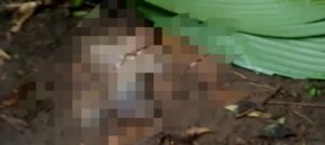 Geger Warga Hendak Pergi ke Sungai Temukan Mayat Bayi